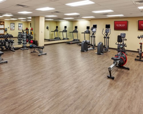 Great Wolf Lodge Grapevine - 5 Nights