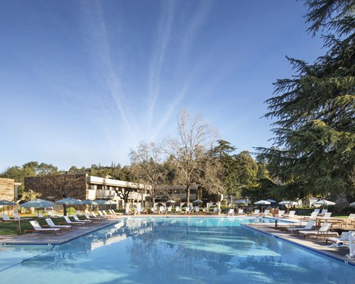 Flamingo Resort - 5 Nights