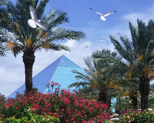 Moody Gardens Hotel, Spa &amp; Convention Center - 5 Nights