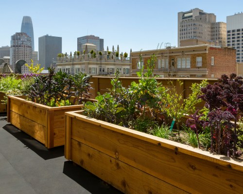 Marvelous city view at Stanford Court