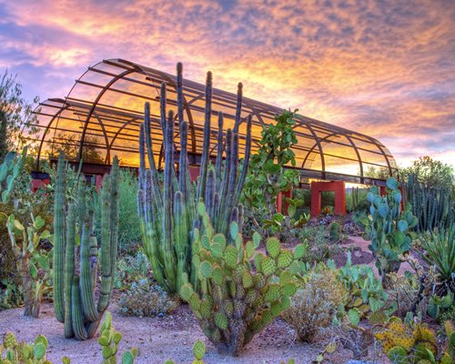 Hampton Inn & Suites Scottsdale at Talking Stick