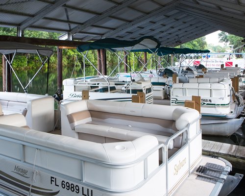 Backpage Crystal River Fl