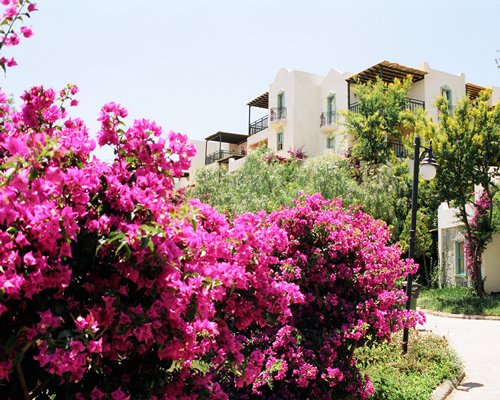 Club Dedeman Bodrum Rental