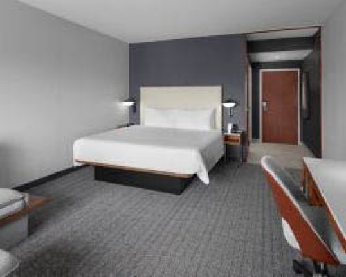 Courtyard by Marriott Tampa/Oldsmar - 5 Nights