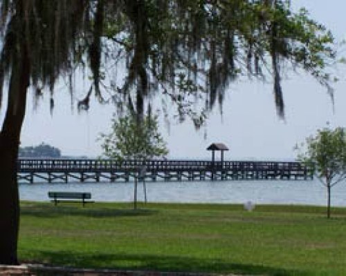 Courtyard by Marriott Tampa/Oldsmar - 5 Nights