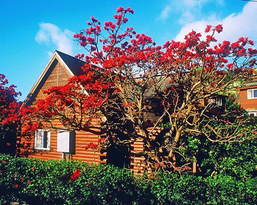 Kentington Resort - 3 Nights