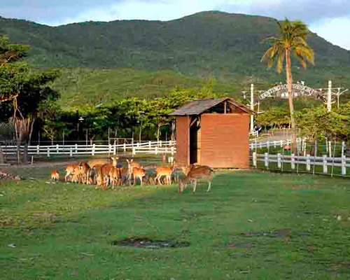 Kentington Resort - 3 Nights