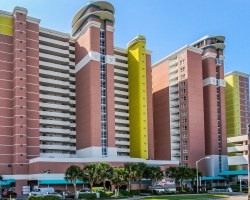 Image Description to Come