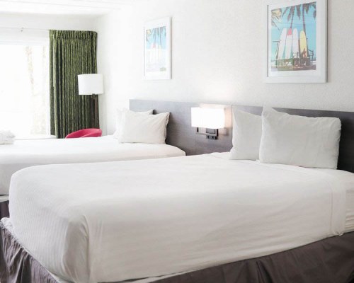 The Flamingo Hotel and Tower - 3 Nights