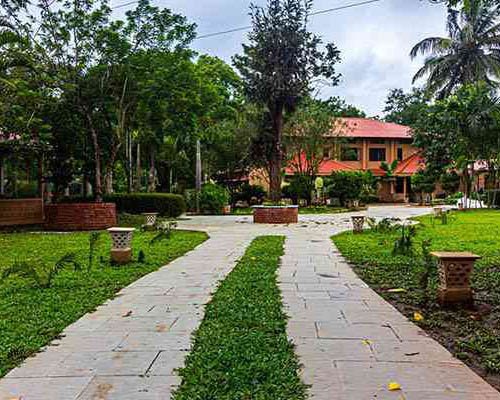 Regenta Jungle resort Kabini springs - 4 Nights