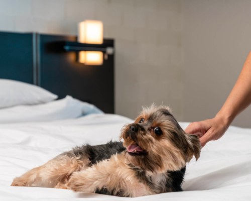 Hyatt Centric Brickell - 5 Nights