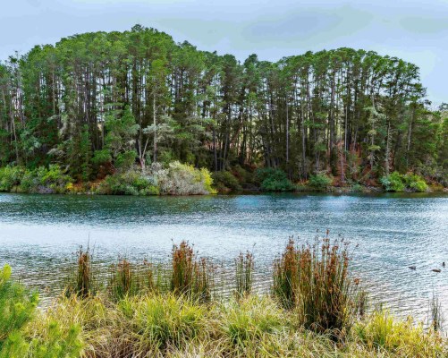 The Sebel Creswick Forest - 5 nights