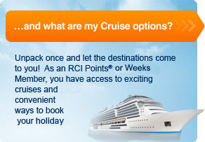 Cruise Options