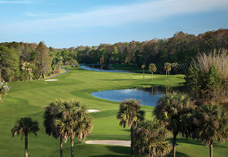 Image of lush, green golf course