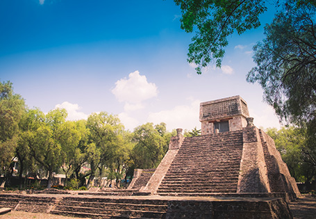 Explore The History Of Mayan Riviera