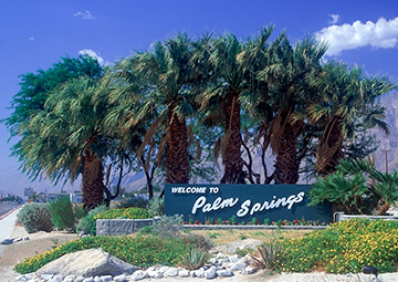 Image of the Palm Beach Strips sign with palm trees