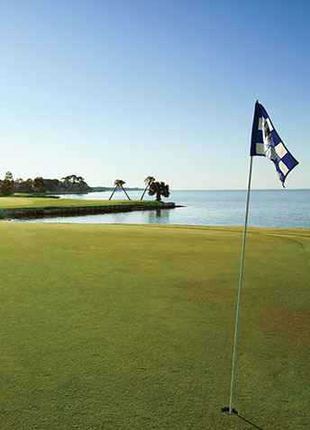 Enjoy Florida's Finest Golfing