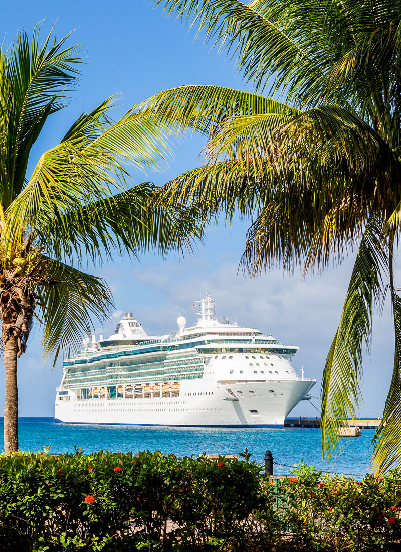 Image of cruise ship at sea seen through palm trees