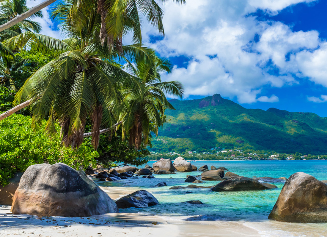 A scenic, tropical beach with palm trees and lush green mountains in the backgroud