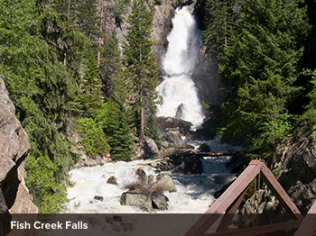 Fall for Steamboat Springs