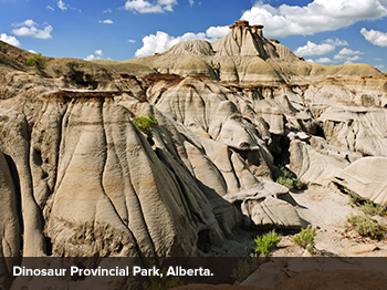 Dinosaur Provincial Park