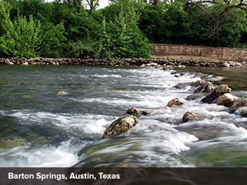 Barton Springs Austin Texas