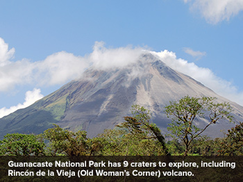 Going Green in Guanacaste