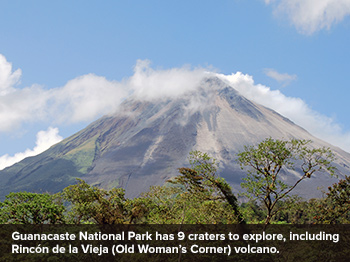  Going Green in Guanacaste 