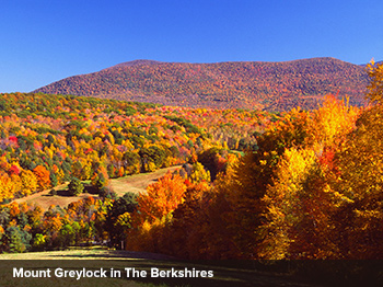 Mount Greylock