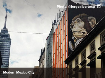 Mexico City’s Arts Scene