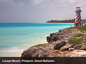 Making a Splash in the Caribbean