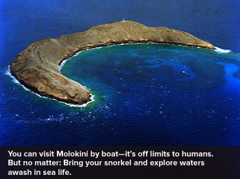 Molokini