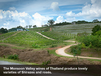 Monsoon Valley wines