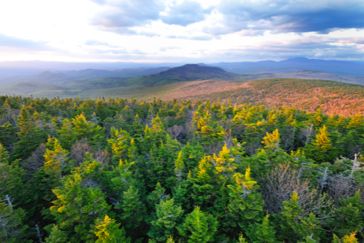 NEW HAMPSHIRE