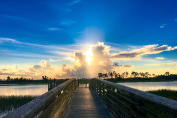 The Skinny on Hilton Head