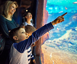 A group of children at an aquarium