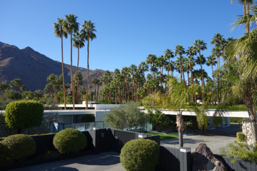 Palm Springs Living