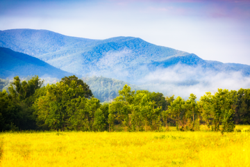 5 Great American National Parks