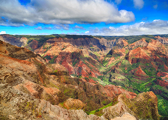 Go for a drive in Waimea Canyon State Park