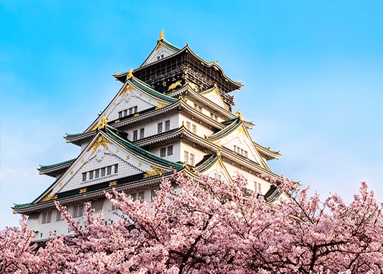 Visit the Osaka Castle
