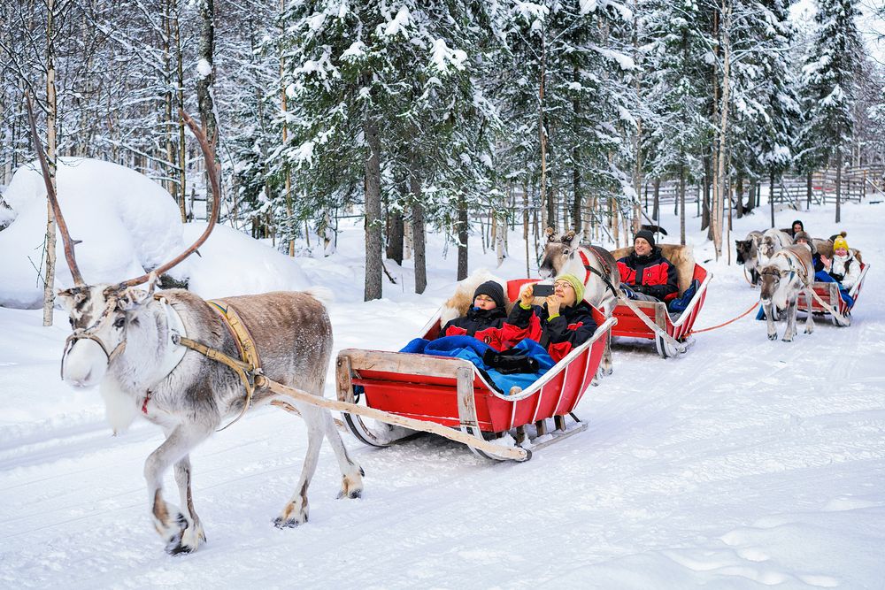 Only available in winter and spring, reindeer sleigh rides are a delightful addition to the Lapland winter experience for adults and children alike.