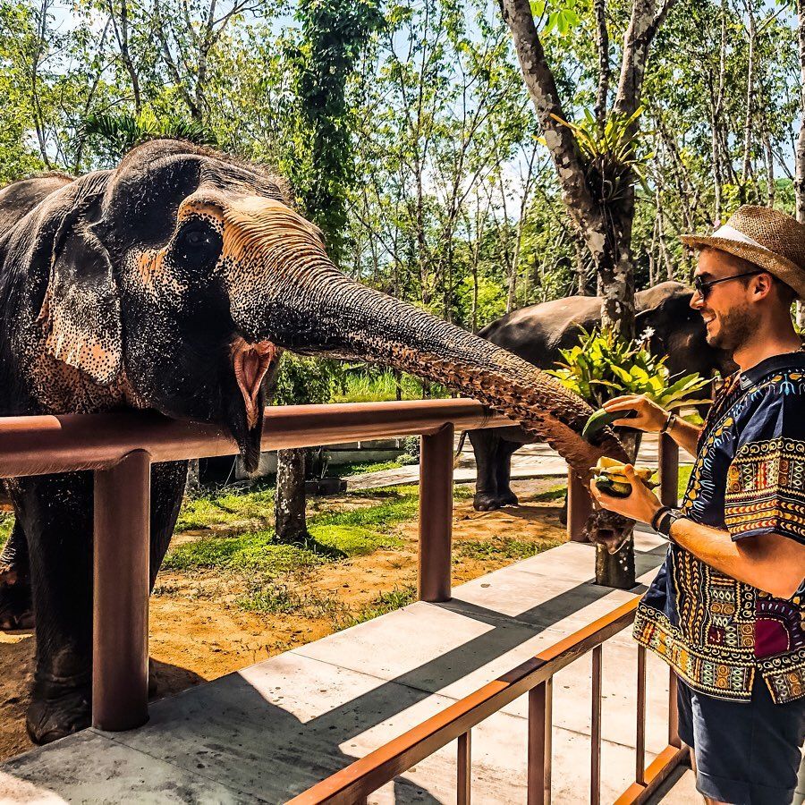 Interact closely with rescued Asian elephants at the Phuket Elephant Sanctuary.