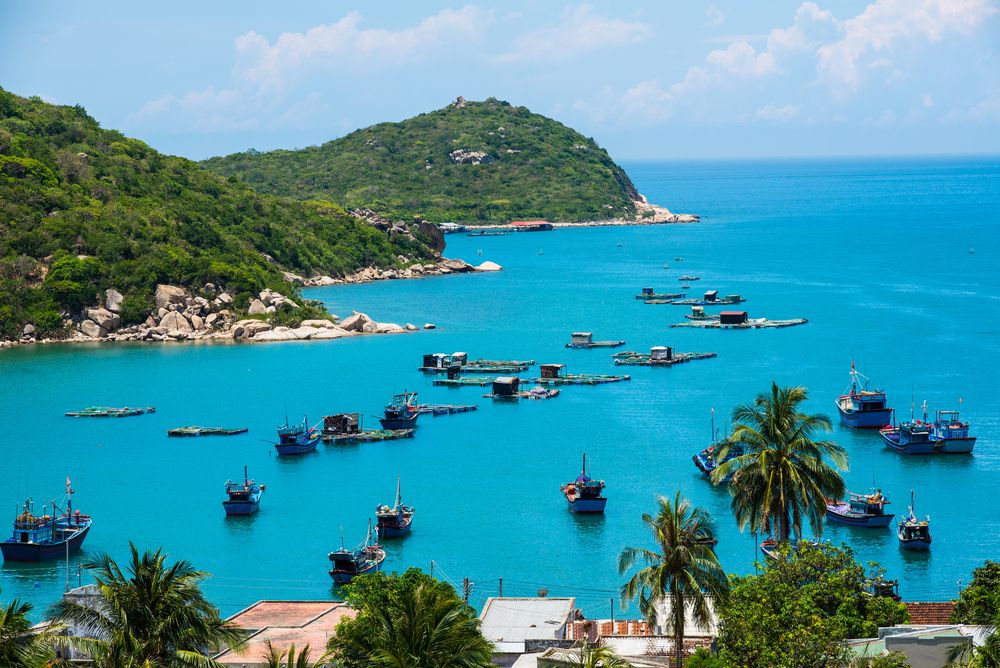 Be delighted by the rich marine life living in the crystalline waters of Vinh Hy Bay.