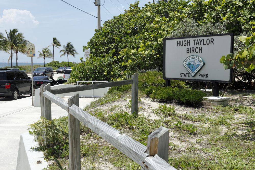 Hugh Taylor Birch State Park offers scenic picnic spots for families to enjoy a delicious meal overlooking the stunning water channels of Fort Lauderdale.