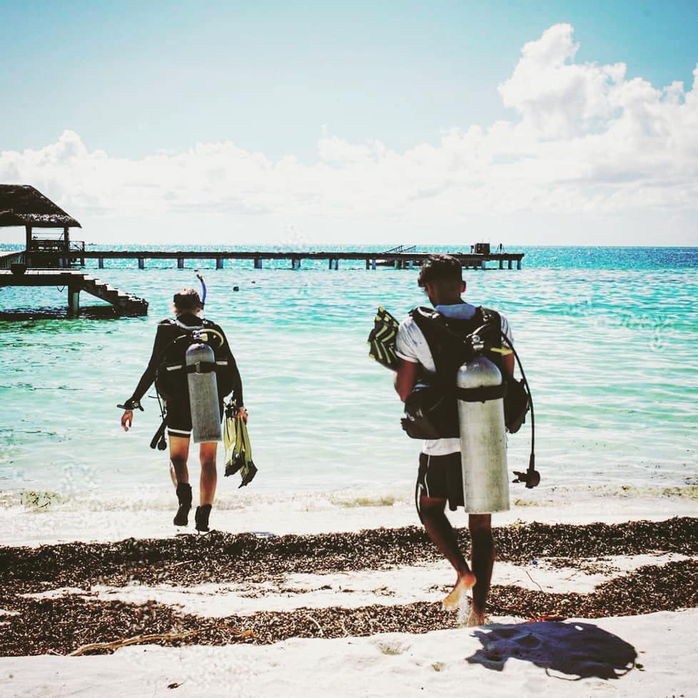 Medhufushi Island Resort offers diving packages for divers of all levels.