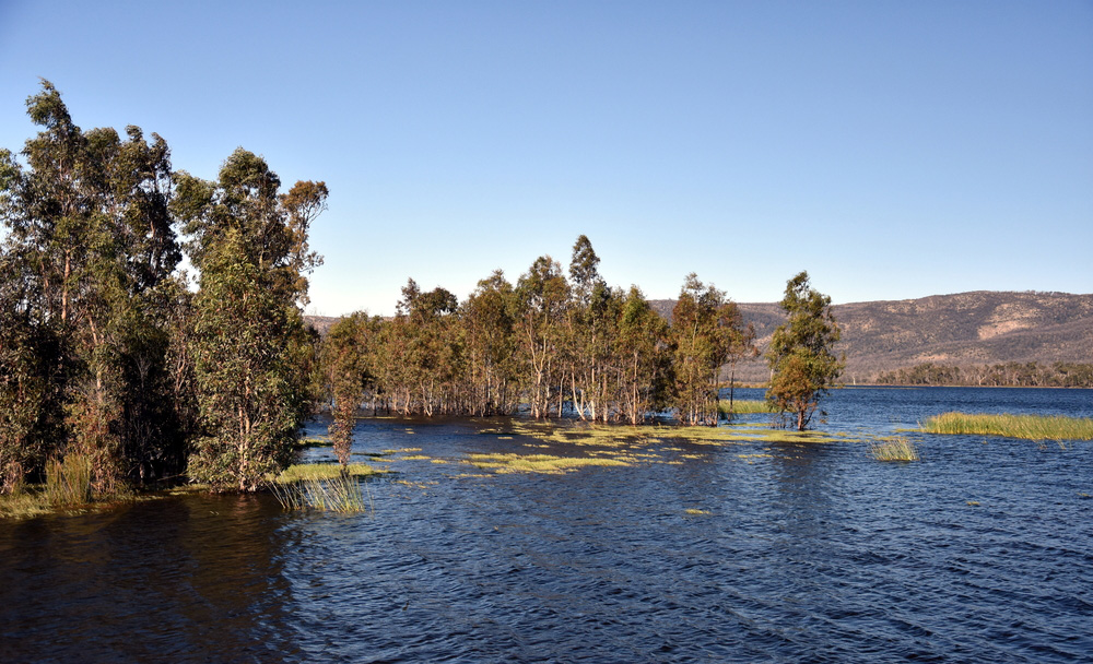 Lake Wartook serves as a water catchment area and is the source of water for Mackenzie Falls.