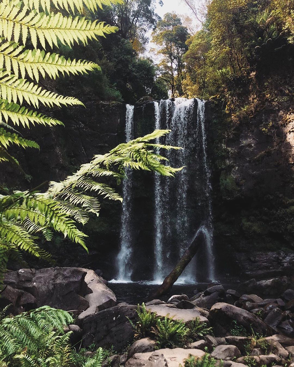  Located in the Great Otway National Park, the Hopetoun Falls plummet 30 metres into the Aire River.