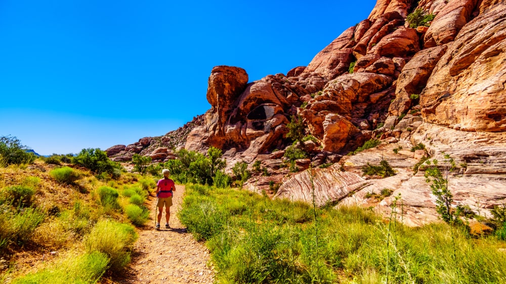 If your family loves the outdoors, get your hiking gear ready for some amazing views at the Red Rock Canyon.