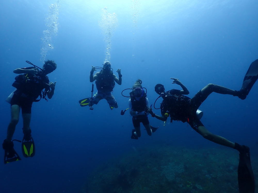  The visibility in the waters of the Pulau Perak dive site can get up to 25 metres on a good day.  