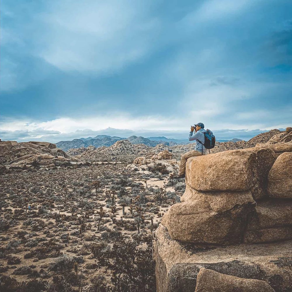 A leisurely hike in the Joshua Tree National Park promises unparalleled views of twisted Joshua trees and unusual boulders.